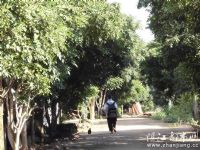 农场——我岳父的家