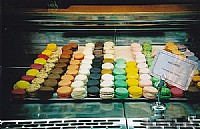 星座达人一句话提示十二星座2013年运势