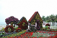 年初二傍晚的观海长廊