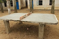 2月6日---东里之行