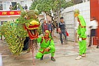 文章湾村------舞动簕古龙