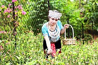 ****最炫民族风****