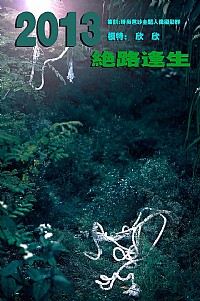 深陷茂密丛林的泥淖——2013绝路逢生