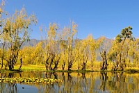 骑行在洱海风光在眼前