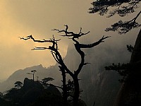 手机也疯狂（三清山四景【附原片】）