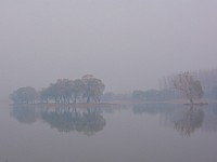 大运河森林公园