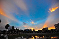 发几张用手机+相机所拍，略带黃色的片片