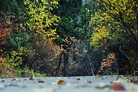 香山,角楼,通惠河,等其他作品