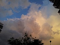 手机上都市网发图