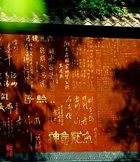 ......湖光行......