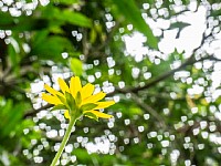 父亲节献礼 - 湿地公园采花