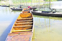 古代的捕鱼方式