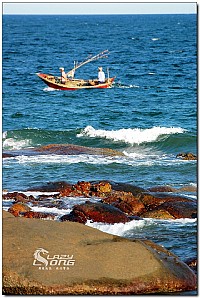 蓝天碧海伴入梦