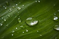 佳能50D反接海鸥50mm F1.8微距一组