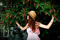 果子成熟时。。。