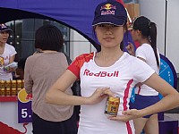 金沙湾音乐节红牛宝贝惹火身材