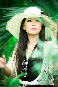 ......渔港那片太阳花......