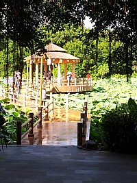 菜鸟的随手抓拍