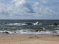 调德海之夏（2）