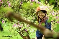 接力发一组清晰的