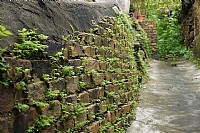 当大家在拍老街的时候，我在拍什么（老街古摄）