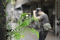 “老船长”赤坎老街摄影活动习作