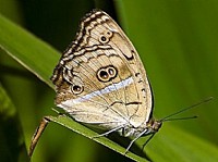 都市网网友文化节：（台风天，时间改期4日）大雄带您进入神秘的微距世界摄影教学活动召集