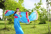 红袖起兮舞翩跹