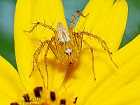 我和师傅大雄的一个约会