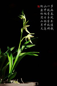 ......夏至请......