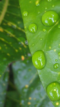 相约虫仔在森林---森林公园学习大雄大师拍虫子