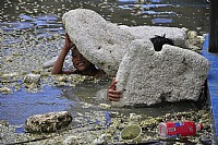 天真活泼的小朋友们在脏水中游泳