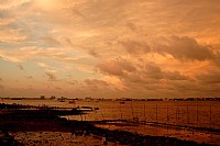 爱我港城红霞飞