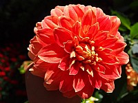 人间天堂--九寨沟