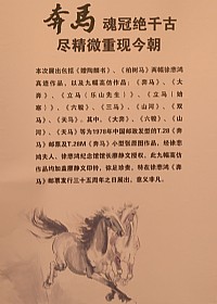 奔马印象