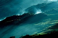 8月底的云南元阳哈尼梯田。