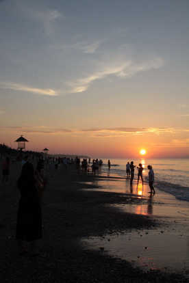 朝阳下的浪漫海滩+我思故我痛