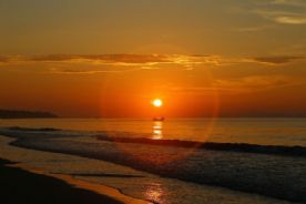 日出起航+燕燕于飞