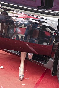 感悟中的车展靓女图片