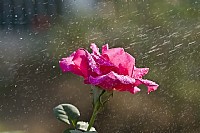 那一场风花雪月的故事