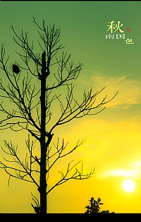 ......南国秋色......