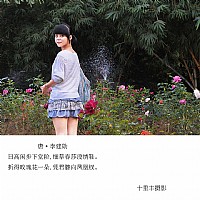 玖瑰花与美少女