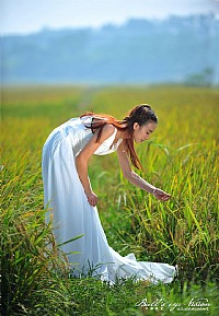 好久没发过贴了，最近稻田热门，也凑下热闹。