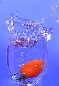 尼康40mm微距镜头试拍