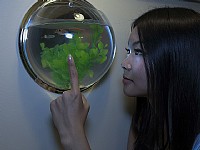 卡法咖啡馆美女像(作业)