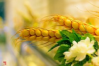 ......午闲时光......