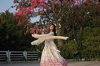 印象湛师作业（补充）