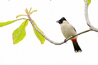 过曝的照片竟然成了“高调”产品？呵呵，错有错着？