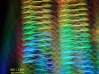 金沙湾夜色狂想曲