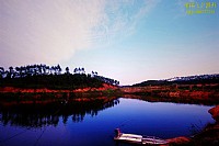 山海冬之恋影-2013首届湛江与广西博白摄影交流会剪影